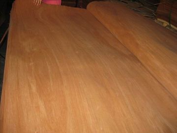 China Rotary Cut/Peeled Red Canarium Wood Veneer Sheet supplier